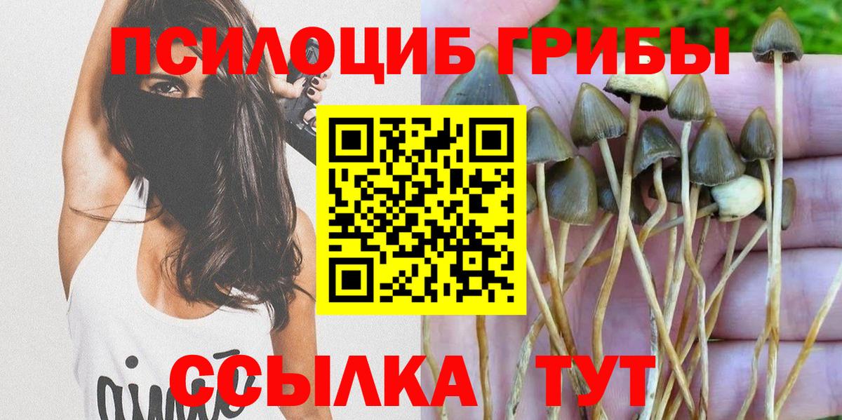 Псилоцибиновые грибы GOLDEN TEACHER  Галлюциногенные грибы мухоморы  Рубцовск  Вход с VPN 